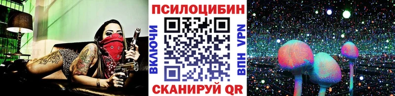 Галлюциногенные грибы GOLDEN TEACHER  Медынь 